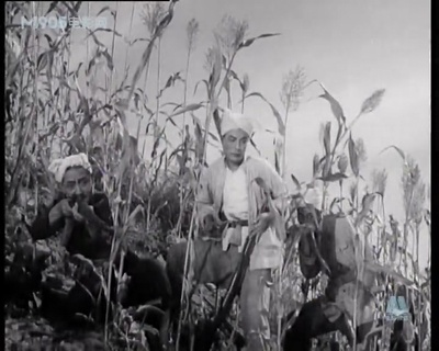 沙家店粮站剧照的剧照