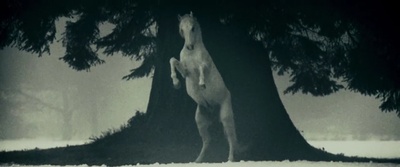 开拓者剧照的剧照