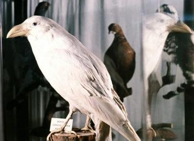 车库剧照的剧照