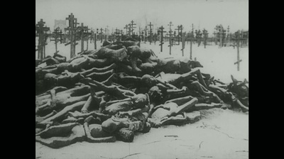 真实电影第21号剧照的剧照