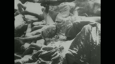 真实电影第21号剧照的剧照