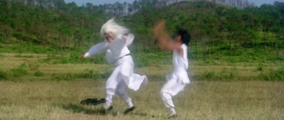 三十六迷形拳剧照的剧照