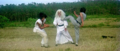 三十六迷形拳剧照的剧照