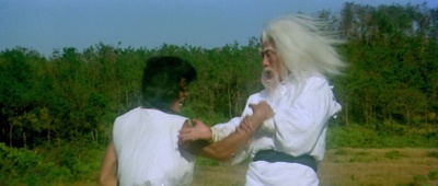 三十六迷形拳剧照的剧照