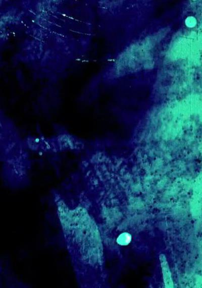 为了玛丽莲剧照的剧照