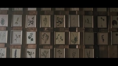 龙纹身的女孩剧照的剧照