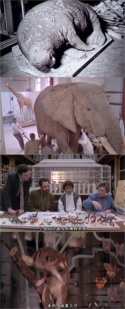 动物，动物们剧照的剧照