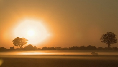 国家地理：冷酷宿敌剧照的剧照
