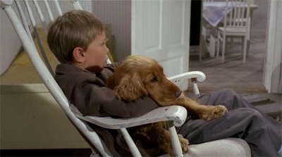 群岛的孩子剧照的剧照