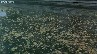 四十不惑剧照的剧照