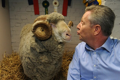 好男人不多剧照的剧照