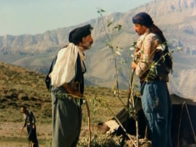 羊群剧照的剧照