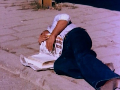 羊群剧照的剧照