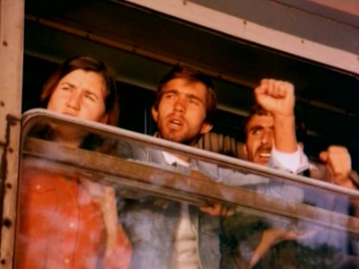 羊群剧照的剧照