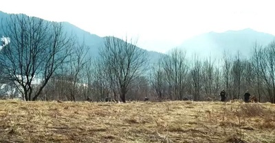 破碎的誓约剧照的剧照