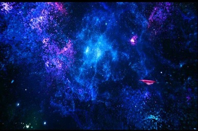 誓约剧照的剧照