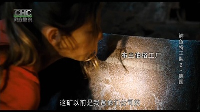 少年鳄鱼队2剧照的剧照