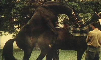 校园女孩报告：父母认为不可能的事剧照的剧照