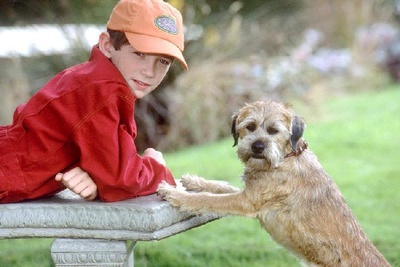 外星神犬剧照的剧照