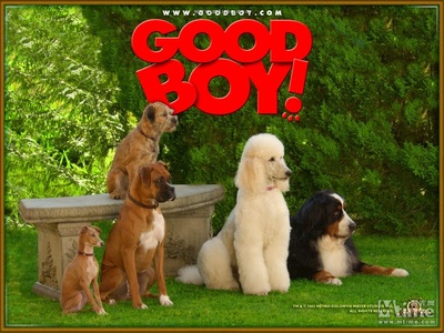 外星神犬剧照的剧照