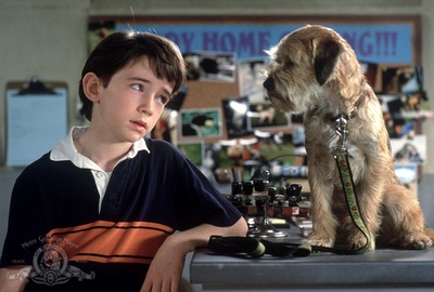 外星神犬剧照的剧照