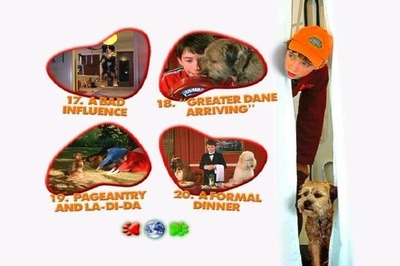 外星神犬剧照的剧照