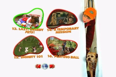 外星神犬剧照的剧照