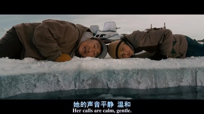 鲸奇剧照的剧照