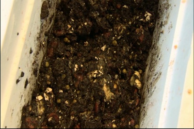 怎么又是你剧照的剧照