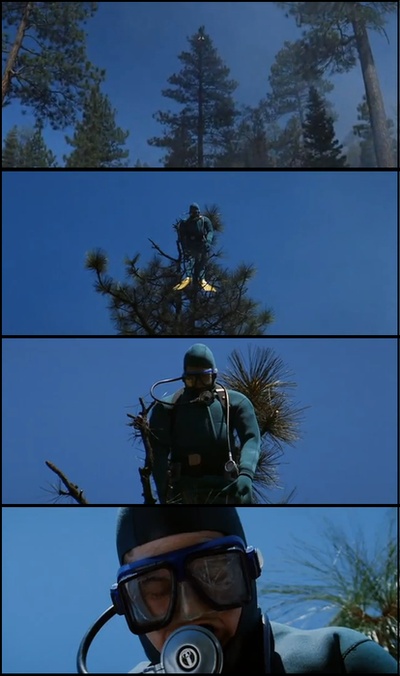 木兰花剧照的剧照