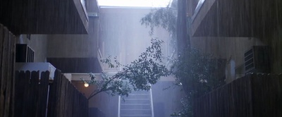 木兰花剧照的剧照