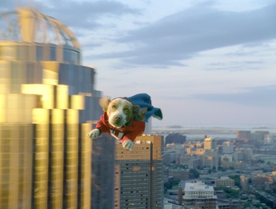 超狗任务剧照的剧照