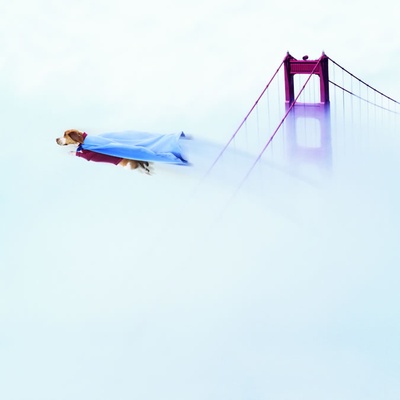 超狗任务剧照的剧照