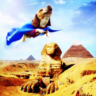 超狗任务剧照的剧照