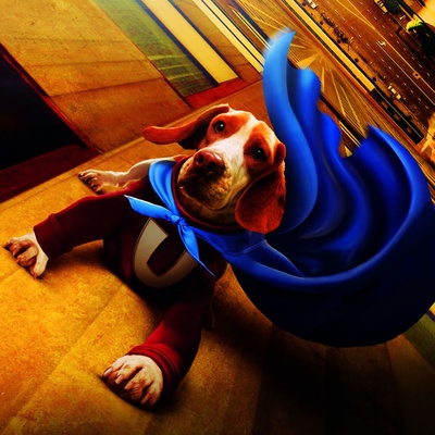 超狗任务剧照的剧照