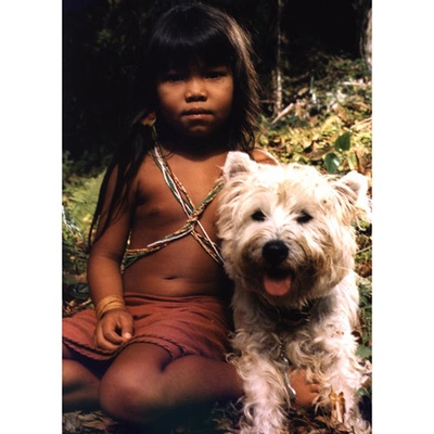 亚马逊河历险记2剧照的剧照