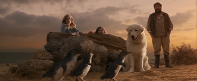 企鹅小守护剧照的剧照