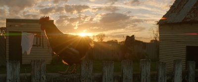 企鹅小守护剧照的剧照