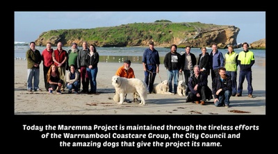 企鹅小守护剧照的剧照