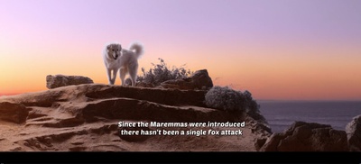 企鹅小守护剧照的剧照