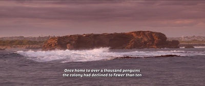 企鹅小守护剧照的剧照