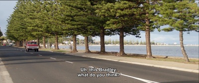 企鹅小守护剧照的剧照