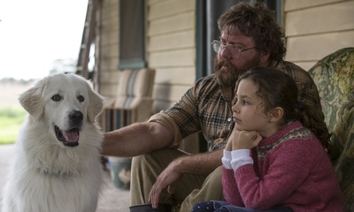 企鹅小守护剧照的剧照