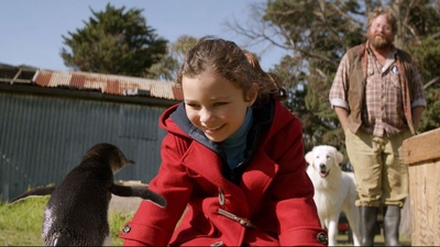 企鹅小守护剧照的剧照