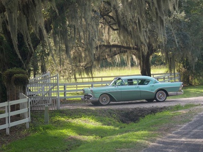 女巫再现剧照的剧照