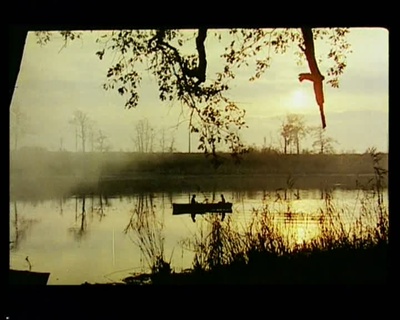 萨拉：自由世界的日记剧照的剧照