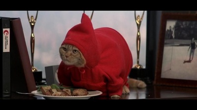 愤怒管理剧照的剧照