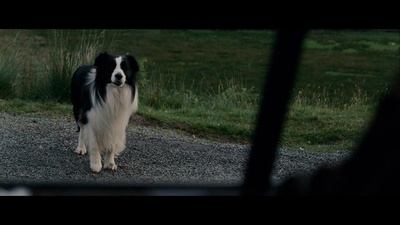 新郎不是我剧照的剧照