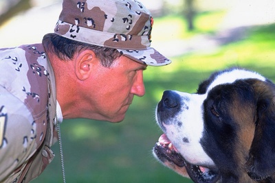 无敌当家4剧照的剧照