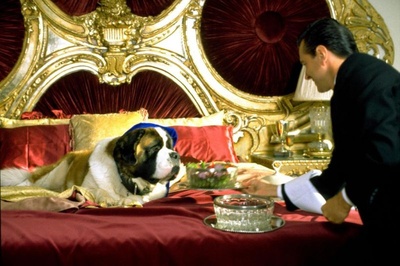 无敌当家4剧照的剧照